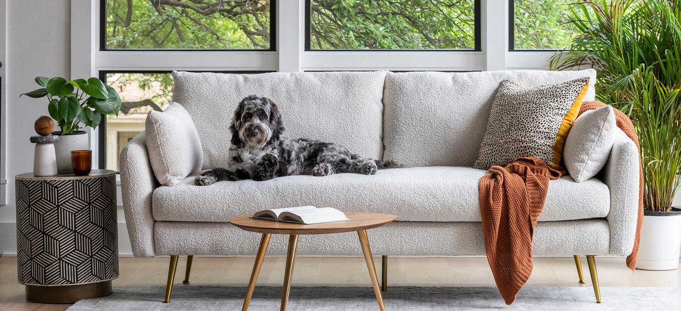 Pet Friendly Sofas And Armchairs