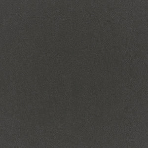 Onyx Performance Velvet