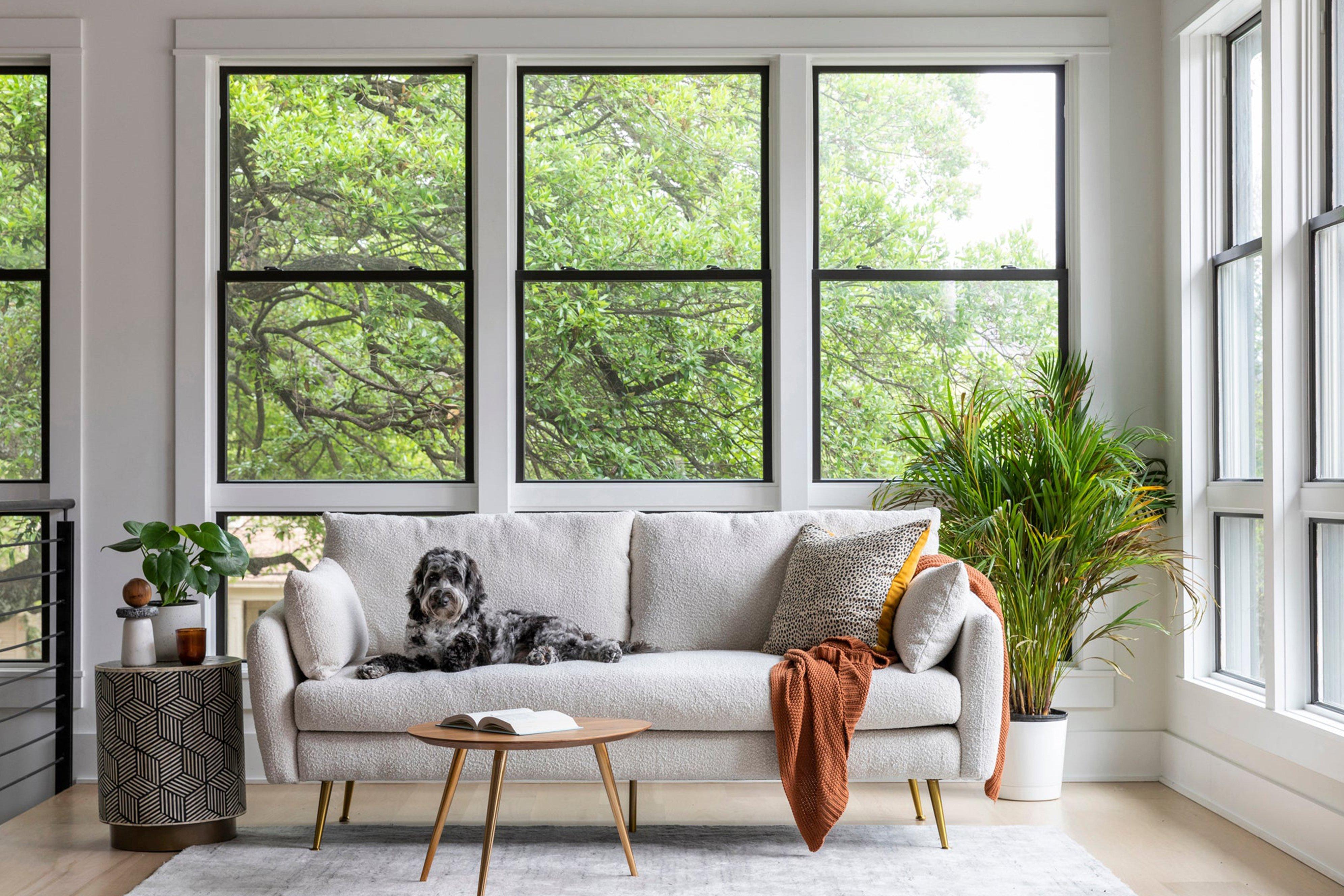 Albany Park Mid Century Modern Couch Cozy Designer Sofa Albany Park