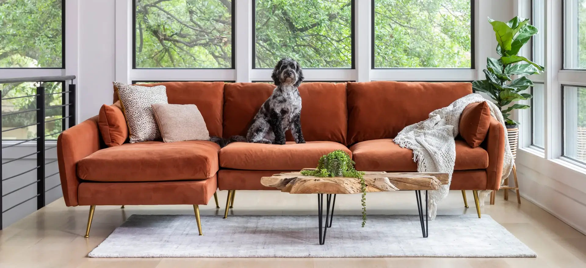 Dog sitting on the Park Sectional Sofa in Rust velvet