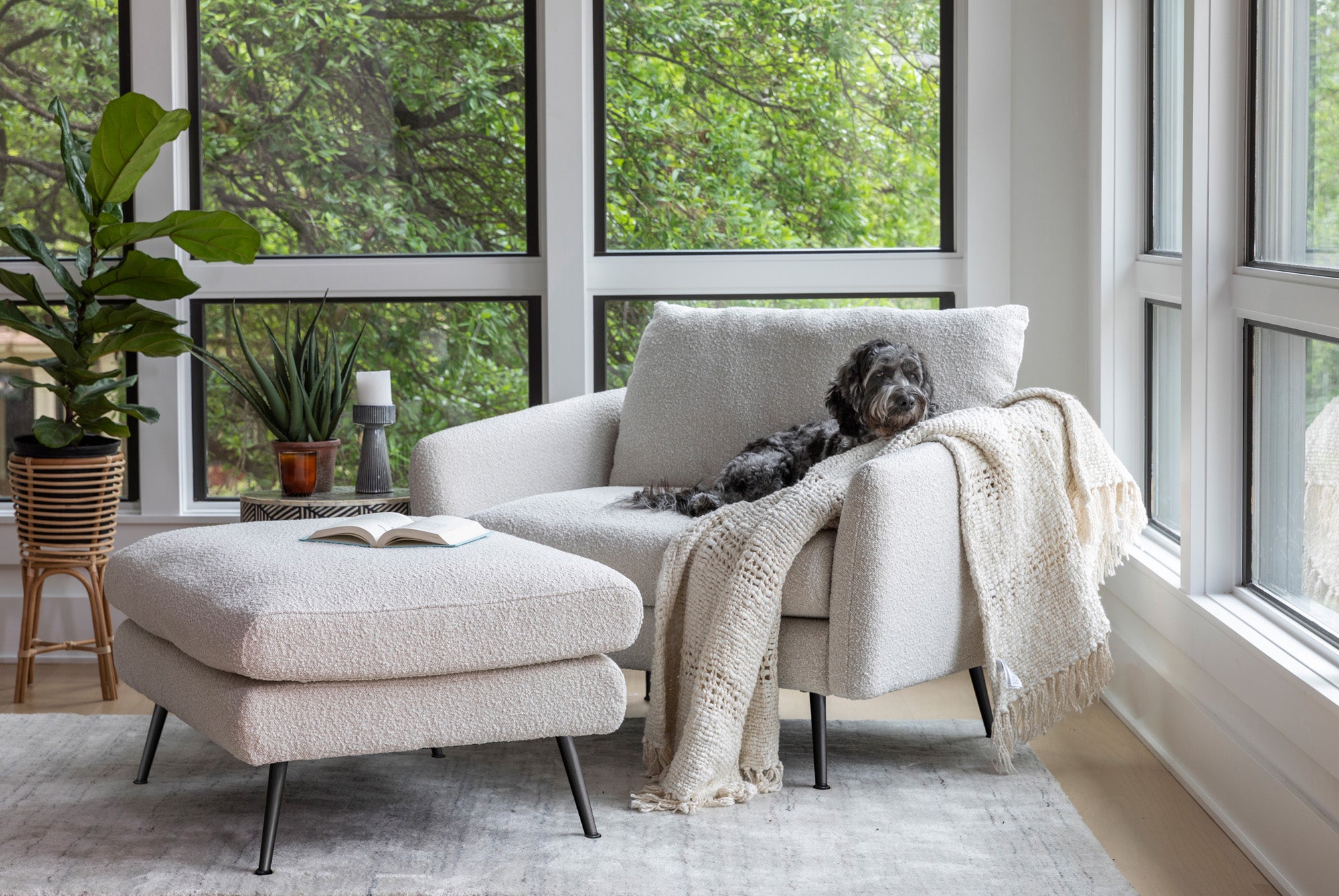 park armchair shown in bouclé with black legs