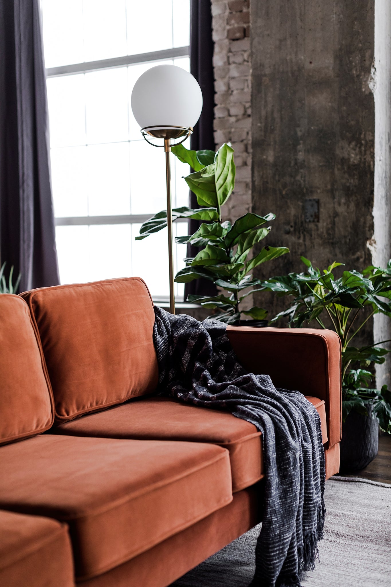 albany sofa shown in rust velvet with walnut legs