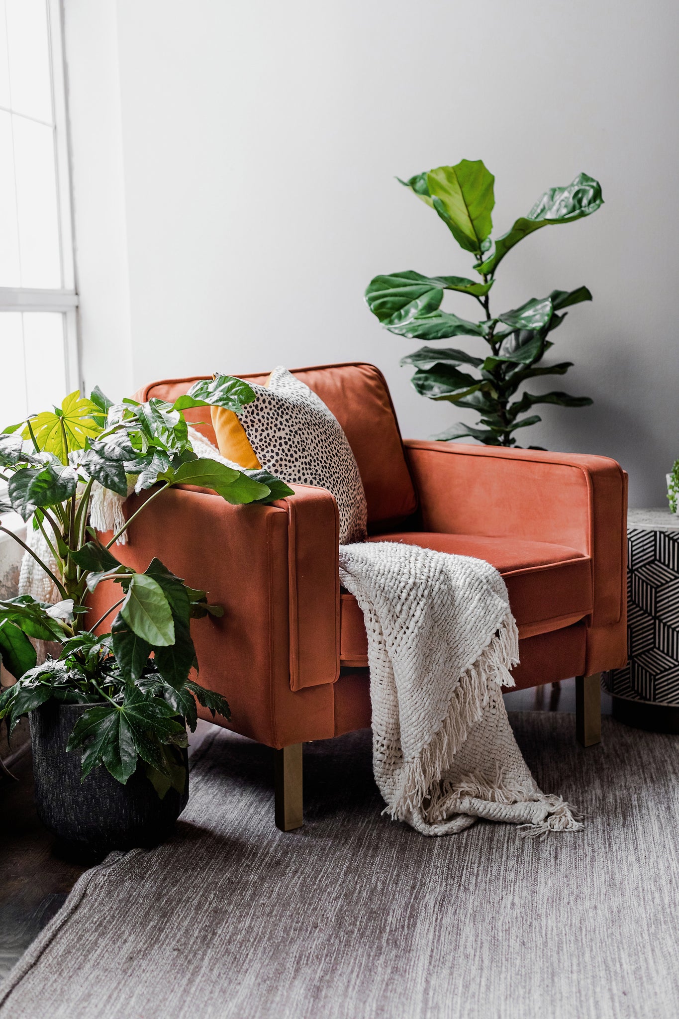 albany armchair shown in rust velvet with gold legs
