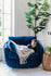 blue velvet | Child lying in the Park swivel armchair in blue velvet