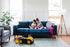 blue velvet gold | Albany Sofa shown in blue velvet with gold legs