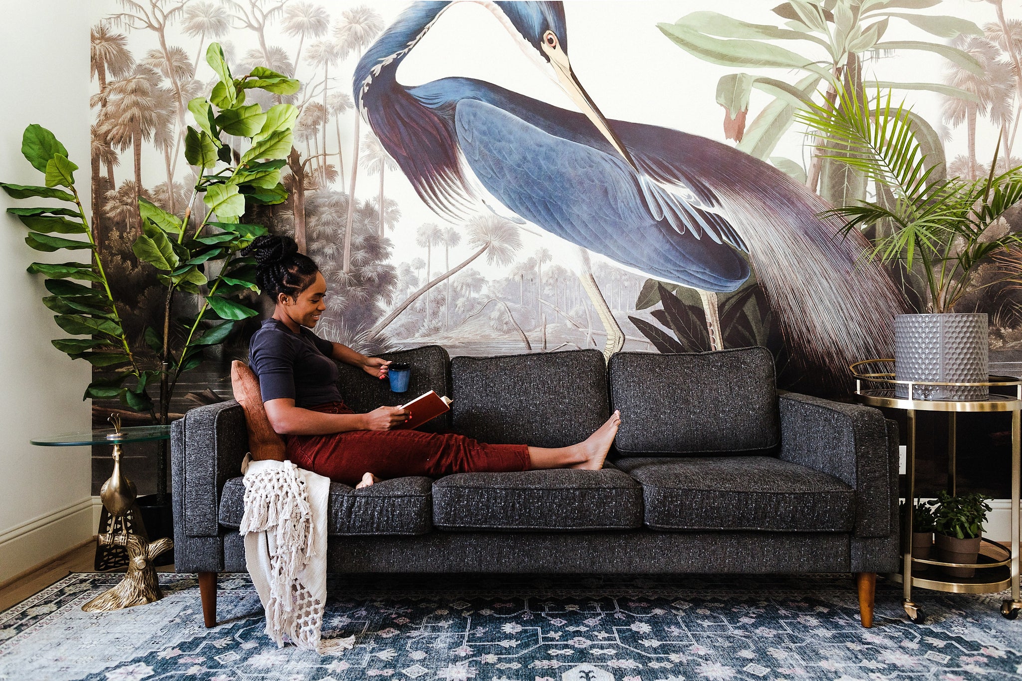 albany sofa shown in charcoal with walnut legs