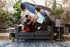 charcoal walnut | Albany Loveseat shown in charcoal with walnut legs
